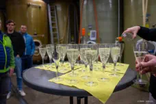 Weingutbesichtigung am Abend